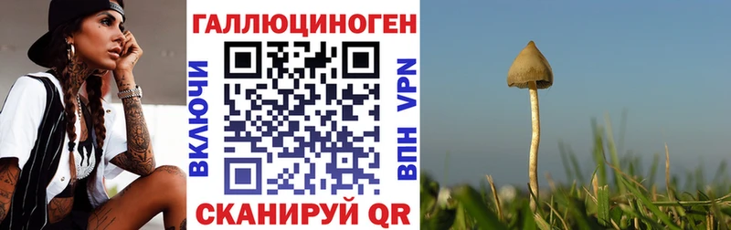Псилоцибиновые грибы мицелий  Демидов 